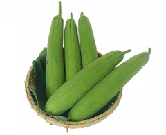 Mướp