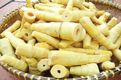 Măng ống tươi lớn