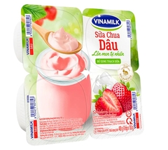 VNM SCA hương dâu thạch dừa 100g