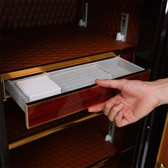 Két sắt thông minh D-100-TLB TIANLANG