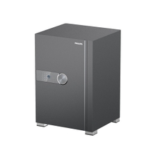 Két Sắt Philips SBX202-6C0