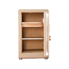 Két sắt nhập khẩu Bojin BF-V-100BJ vân tay điện tử cao cấp công nghệ Đức