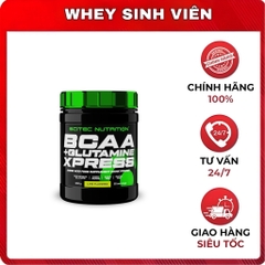 Scitec Nutrition BCAA + Glutamine (300g)