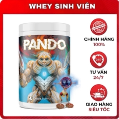 Pando Pre - Workout ( 25 servings )