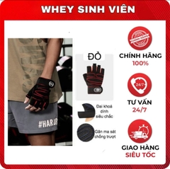 Găng GLOVEST
