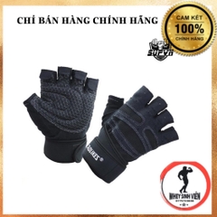 Găng GLOVEST