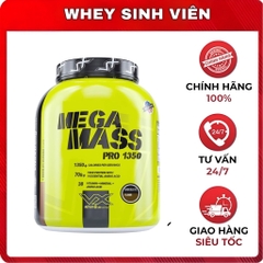 Mega Mass - 6 lbs