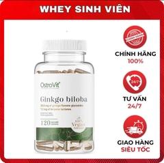 Ostrovit Ginkgo Biloba (120 viên)