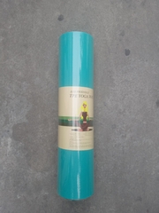 Thảm tập