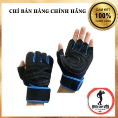 Găng GLOVEST