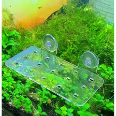 Giá Đỡ Cây Thủy Sinh Mica - Vỉ Acrylic Trồng Cây Thủy Sinh - Tấm Nâng Acrylic | Giá Thể Ươm Cây