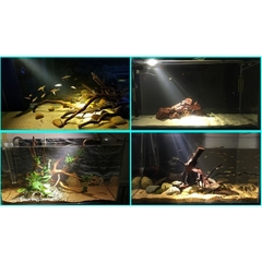 ĐÈN LED RỌI BIOTOP 5W CHO HỒ CÁ THỦY SINH