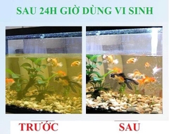 Vi sinh viên nén Aquarista Nhật Bản (Hộp 100 viên)