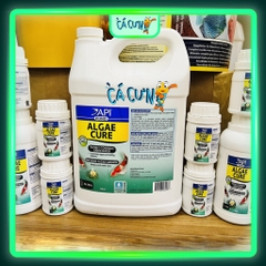 API ALGAE CURE POND - Vi Sinh phân huỷ phân cá, tảo, làm trong nước, giảm bụi cực nhanh (HÀNG CTY)
