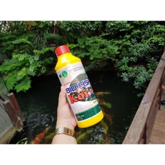 Men Vi Sinh Hồ Koi BIO FISH KOI Cho Cá Koi