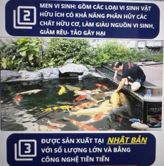 Vi sinh viên nén Aquarista Nhật Bản (Hộp 100 viên)