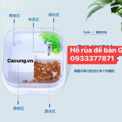 Hồ nuôi rùa chuyên dụng mini để bàn GH 05 size 28x28x17 (Hàng Nhập Khẩu)