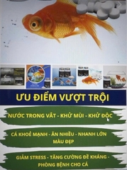 Vi sinh viên nén Aquarista Nhật Bản (Hộp 100 viên)