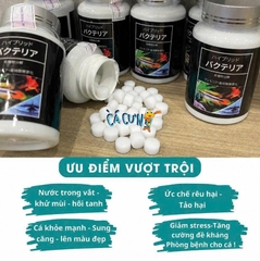 Vi sinh viên nén Aquarista Nhật Bản (Hộp 100 viên)