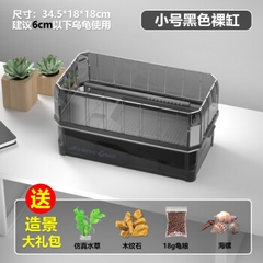 Hồ Rùa Cao Cấp Siêu Đẹp GG 06 XL Size 65x33x24 (Hàng Nhập Khẩu)