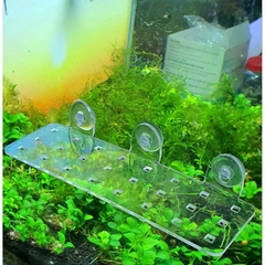 Giá Đỡ Cây Thủy Sinh Mica - Vỉ Acrylic Trồng Cây Thủy Sinh - Tấm Nâng Acrylic | Giá Thể Ươm Cây