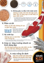 THỨC ĂN CÁ KOI GROWTH VÀ COLOR HONEY FORMULA BOOST - SAKURA BAO 6,5kg MẬT ONG