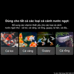 Vitamin Tổng Hợp cho cá cảnh - Tăng đề kháng, giảm stress, bổ sung các chất cần thiết (Hàng Cty)