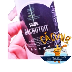 Vi Sinh Xử Lý Nước Nuôi Thủy Mộc Soiwiz Bacnutrit