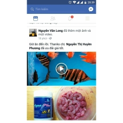 CZ13 - AQUA PLUS (VITAMIN CHO RỒNG, HỔ, SAM)