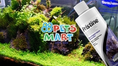 VI SINH CAO CẤP XỬ LÝ NƯỚC SEACHEM PRISTINE