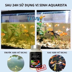Vi sinh viên nén Aquarista Nhật Bản (Hộp 100 viên)