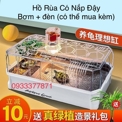 Hồ Rùa Cao Cấp Siêu Đẹp GG 06 size 46x20x23 (Hàng Nhập Khẩu)