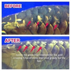 Khoáng Chất High Active 1Kg (Hàng Công Ty)