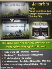 Vi sinh viên nén Aquarista Nhật Bản (Hộp 100 viên)