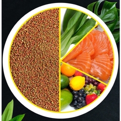 Thức ăn cho cá bảy màu, guppy, betta cá cảnh, cá thủy sinh 20gram