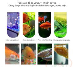 Thuốc TETRA NHẬT 5g - Xử lý nấm, kháng sinh cho cá cảnh (1 gói) - HÀNG CHÍNH HÃNG