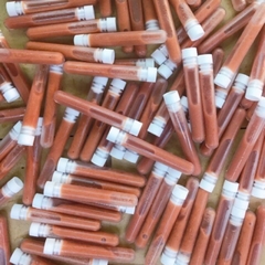 Thức ăn TIM BÒ cho cá cảnh lên màu đẹp (100g)