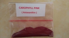Carophyll trộn đồ tươi lên màu đỏ/vàng cho cá cảnh (1 gram)