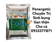 Penegertic - Xử Lý Sình Bụng, Gan Thận cho cá (100g)