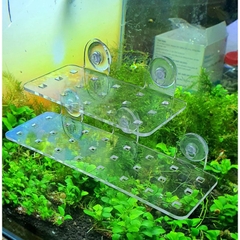 Giá Đỡ Cây Thủy Sinh Mica - Vỉ Acrylic Trồng Cây Thủy Sinh - Tấm Nâng Acrylic | Giá Thể Ươm Cây