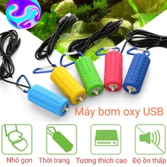 Máy sủi oxy mini siêu êm chạy bằng USB, sử dụng tốt khi đi câu cá