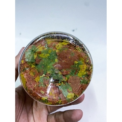 THỨC ĂN CÁ DĨA DẠNG LÁ BÁNH TRÁNG CLEVER FISH DISCUS 40g (Hộp tem đen nắp vàng)