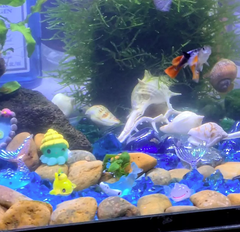 Tiểu Cảnh Charm ĐUÔI CÁ Trang Trí Hồ Cá, Bể Cá, Chậu Cây, Tiểu Cảnh Terrarium (Hàng Công Ty)