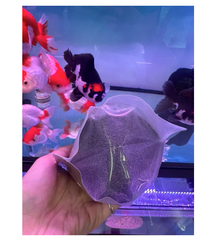 CÁM SIÊU ĐẠM SUPER FAT FOOD 45% 500g CHO CÁ CẢNH, RANCHU, ORANDA, GUPPY (Hàng Công Ty)