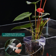 Cốc trồng cây thủy sinh kẹp thành kính hồ cá - Chậu mica trồng cây bán cạn trên mặt bể cá (Hàng Cty)