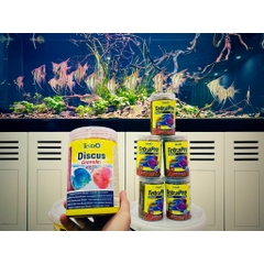 Tetra Discus Granules | Thức ăn cao cấp cho cá dĩa - Cám cá đĩa ,thạch mỹ nhân, cầu vồng (Hàng Cty)