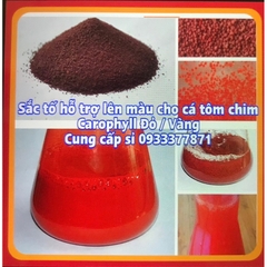 (Bán Sỉ) Carophyll Đỏ Vàng lên màu sặc sỡ cho cá tép cảnh (Hàng Nhập Khẩu)