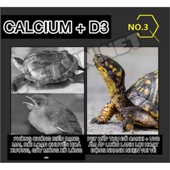 Bột GYP G-14 bổ sung Canxi & D3 cho Bò sát, Lưỡng cư, Rùa cạn, Rắn, Thằn lằn, Ếch, Vẹt (Hàng Cty)