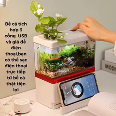 Bể Cá có đèn lọc Mini FISH TANK Để Bàn Làm Việc Đa Chức Năng Hồ Thủy Sinh M9 bằng MICA