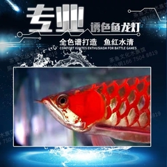 ĐÈN BỂ CÁ NO1 5D BELOS ĐỎ CÁ KO ĐỎ NƯỚC - TANNING CÁ RỒNG 5 HÀNG BÓNG 70CM | 90CM | 110CM | 140CM | 170CM